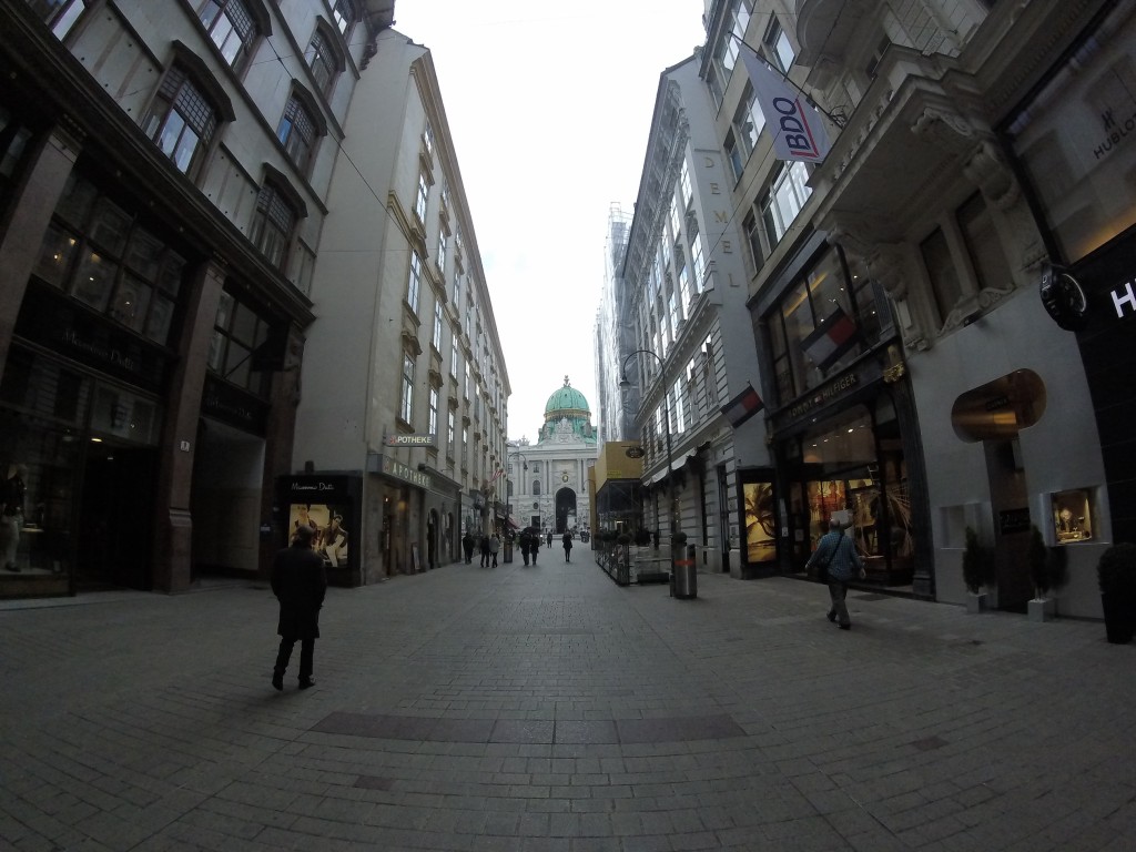 DCIM100GOPRO